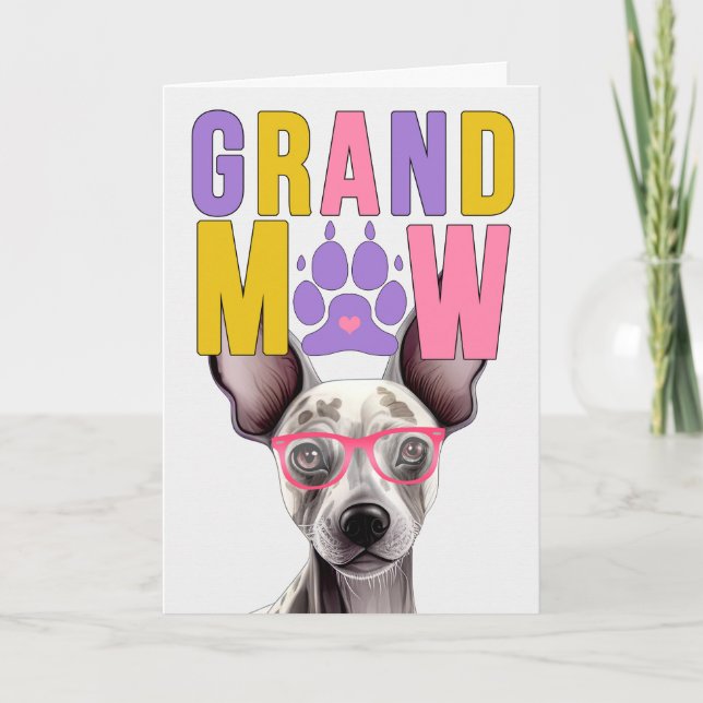 Cartes Pour Fêtes Annuelles Grand-MAW Hairless Terrier Funny Grand-parents Day (Devant)