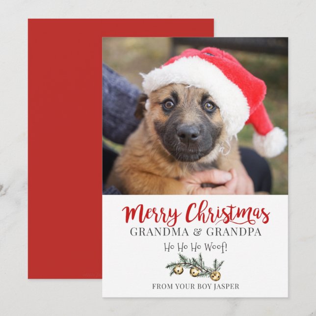 Cartes Pour Fêtes Annuelles Grand-mère Grand-père Noël du chien (Devant / Derrière)