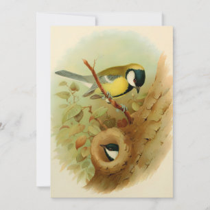 Cartes Pour Fêtes Annuelles Grand métis - Oiseau coloré, Art