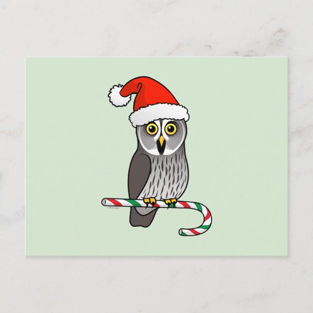 Cartes Pour Fêtes Annuelles Grande chouette grise Père Noël (Devant)