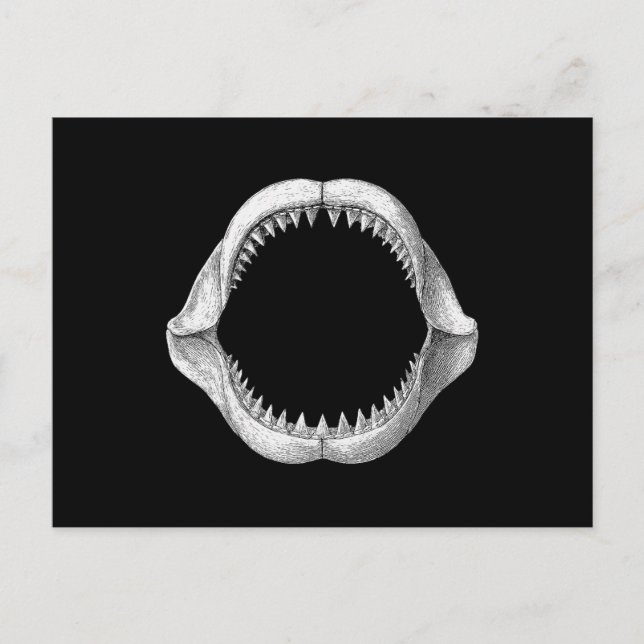 Cartes Pour Fêtes Annuelles Grande mâchoire de requin blanc (Devant)