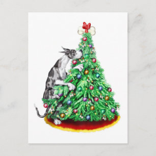 Cartes Pour Fêtes Annuelles Grands Dane Noël atteindre les objectifs Merle