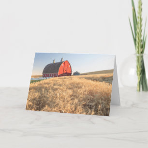 Cartes Pour Fêtes Annuelles Grange, champs de blé d'été près de Sprague, Est 1