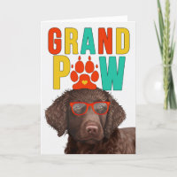 GranPAW Curly Coated Chien amusant Grand-parents J