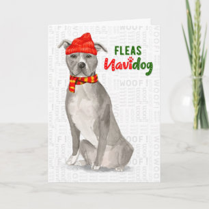 Cartes Pour Fêtes Annuelles Gray American Staffordshire Pitbull Dog Funny