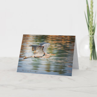 Cartes Pour Fêtes Annuelles Great Blue Heron Bird All Occasion Blank
