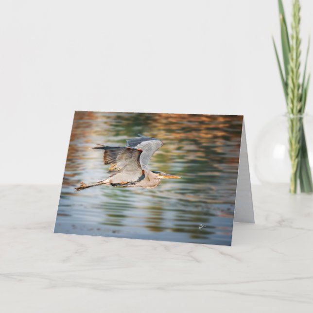 Cartes Pour Fêtes Annuelles Great Blue Heron Bird  All Occasion Blank (Devant)