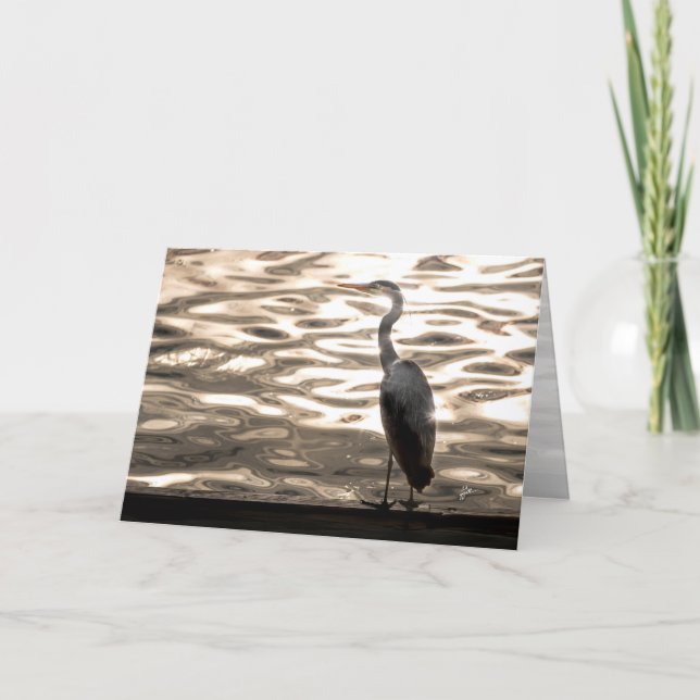 Cartes Pour Fêtes Annuelles Great Blue Heron Bird At Sunset Blank (Devant)