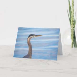 Cartes Pour Fêtes Annuelles Great Blue Heron Wildlife Bird Photography Blank