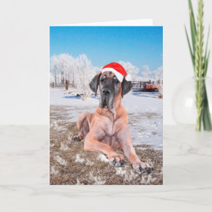 Cartes Pour Fêtes Annuelles Great Dane