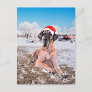 Cartes Pour Fêtes Annuelles Great Dane