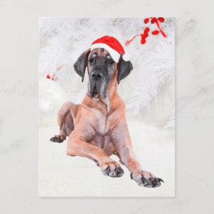 Cartes Pour Fêtes Annuelles Great Dane