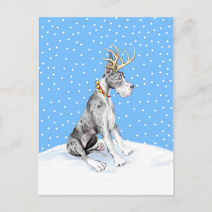 Cartes Pour Fêtes Annuelles Great Dane Reindeer Christmas Merle