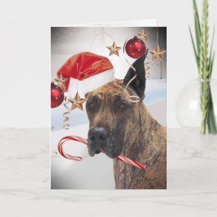 CARTES POUR FÊTES ANNUELLES GREAT DANE UTILISE LE CASQUETTE DE PÈRE NOËL SUR
