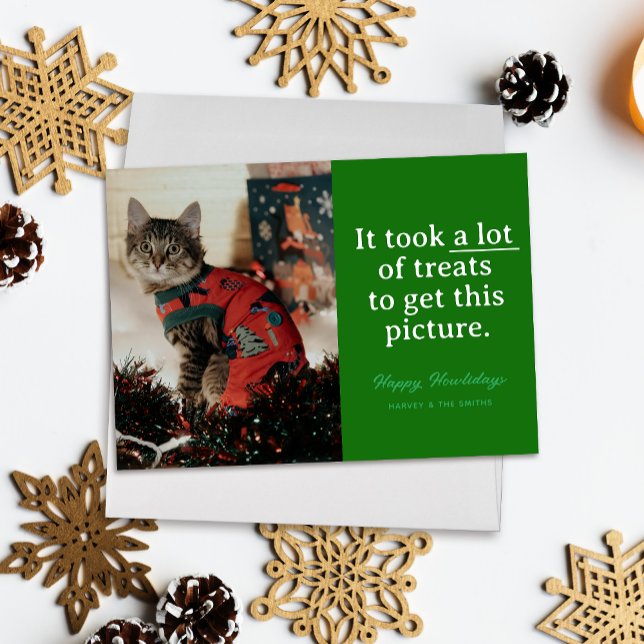 Cartes Pour Fêtes Annuelles Green Beaucoup de soins Happy Howlidays Funny Pet ("It took a lot of treats to get this picture" funny holiday pet photo card, white text on green)
