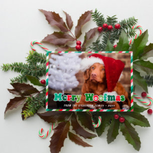 Cartes Pour Fêtes Annuelles Green Red Mint Retro Merry Woofmas Chien Noël