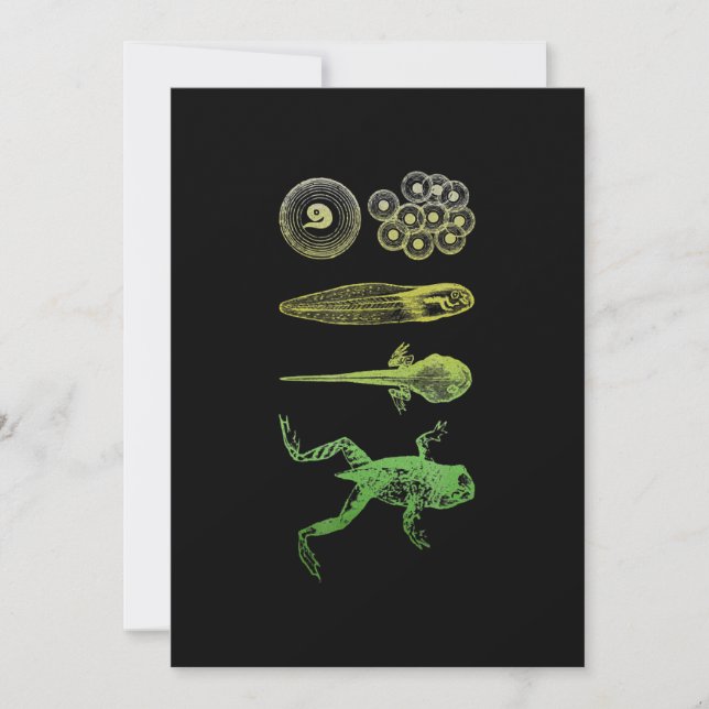 Cartes Pour Fêtes Annuelles Grenouille Tadpole Métamorphose Cycle de vie Biolo (Devant)