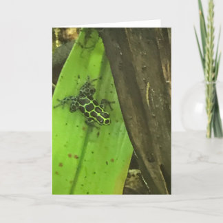 Cartes Pour Fêtes Annuelles Grenouille verte du poison