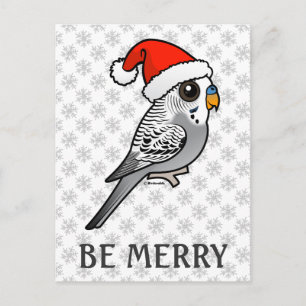 Cartes Pour Fêtes Annuelles Grey Budgie Santa Claus