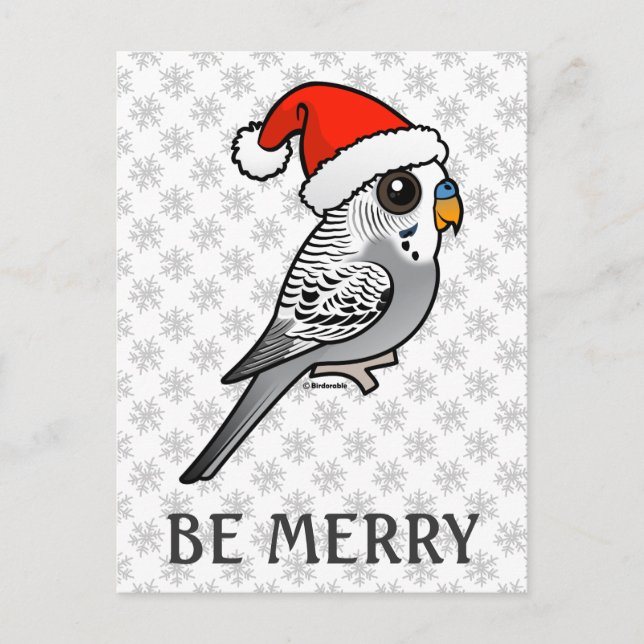 Cartes Pour Fêtes Annuelles Grey Budgie Santa Claus (Devant)
