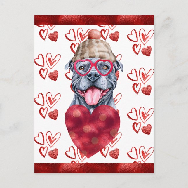 Cartes Pour Fêtes Annuelles Grey Pitbull Hearts Amoureux des chiens Valentine  (Devant)