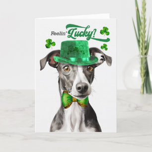 Cartes Pour Fêtes Annuelles Greyhound Dog Feelin' Lucky St Patrick's Day