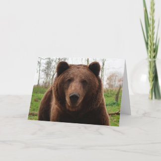 CARTES POUR FÊTES ANNUELLES GRIZZLY BEAR HAPPY BIRTHDAY BEAR HUG CARDS
