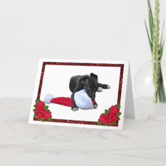 Cartes Pour Fêtes Annuelles Gros Chiot Chien Cheval Noël