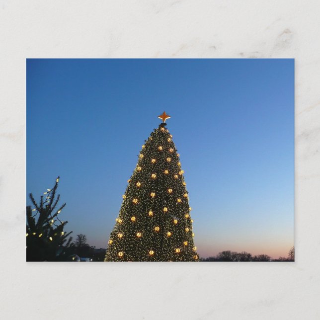 Cartes Pour Fêtes Annuelles Gros et petits arbres de Noël I Coucher de soleil  (Devant)