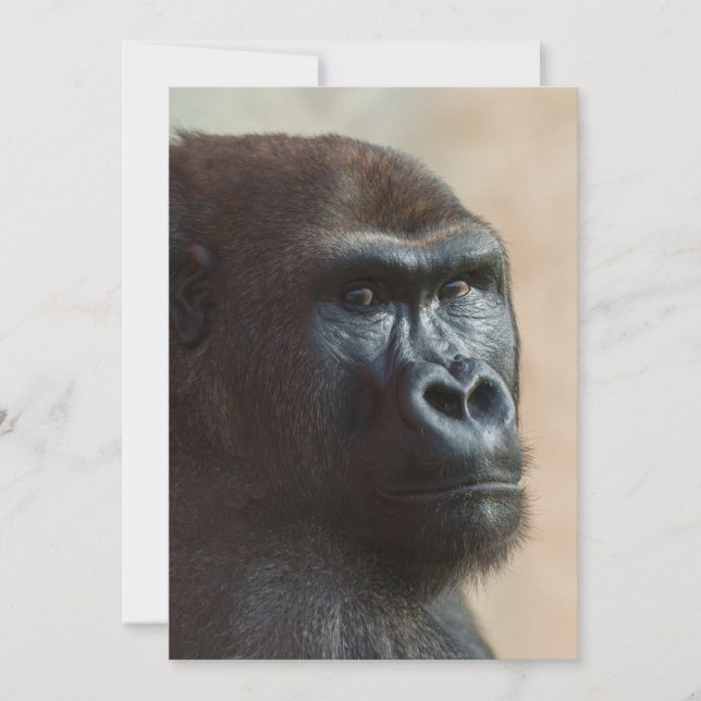 Cartes Pour Fêtes Annuelles Gros plan de Gorilla Lope (Devant)