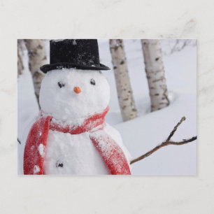 Cartes Pour Fêtes Annuelles Gros plan de Snowman avec Écharpe et chapeau sup