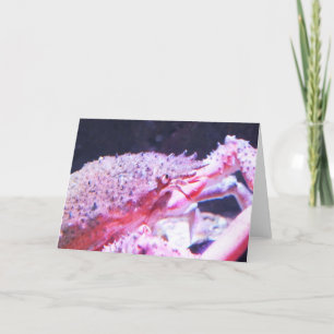 Cartes Pour Fêtes Annuelles Gros plan d'un crabe d'araignée
