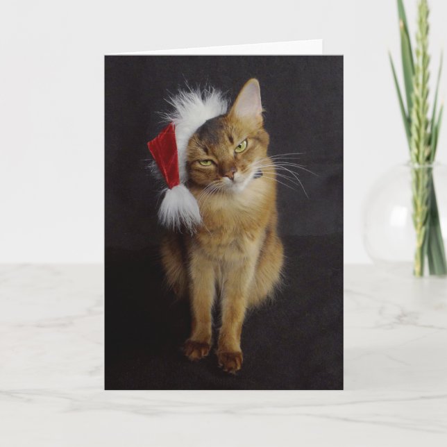 Cartes Pour Fêtes Annuelles Grouchy Somali Cat in Santa Hat Christmas (Devant)