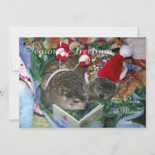 Cartes Pour Fêtes Annuelles Groundhogs Clara et salutation des vacances de
