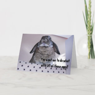 Cartes Pour Fêtes Annuelles Grumpy Angry Easter Bunny Funny Humour Card