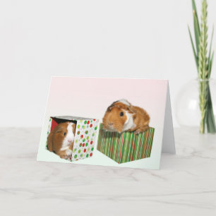 Cartes Pour Fêtes Annuelles Guinea Pig Christmas