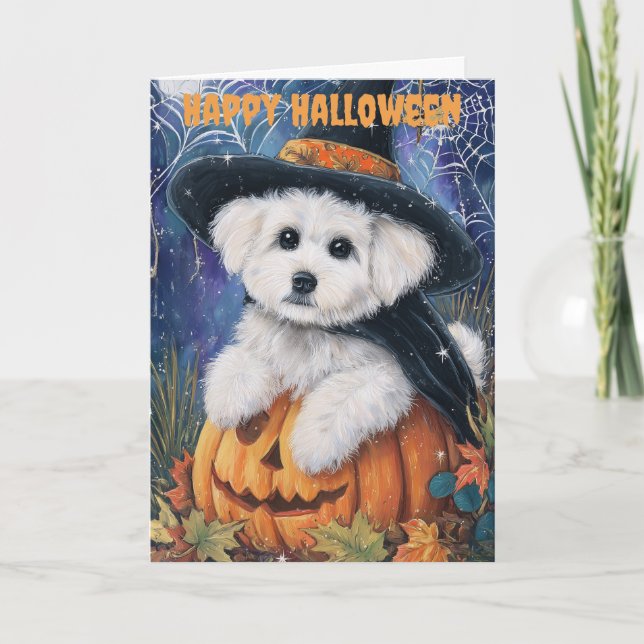 Cartes Pour Fêtes Annuelles Halloween Bichon Frise Dog (Devant)