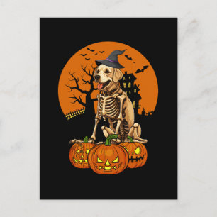 Cartes Pour Fêtes Annuelles Halloween Chien Golden Retriever
