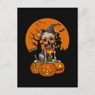 Cartes Pour Fêtes Annuelles Halloween Chien Yorkshire Terrier