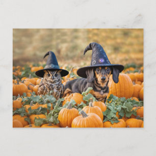 Cartes Pour Fêtes Annuelles Halloween Dachshund et Owl Funny