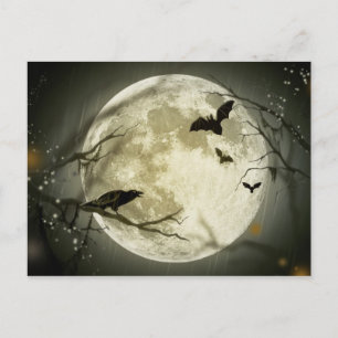 Cartes Pour Fêtes Annuelles Halloween vacances mystère avec conte de fée lune