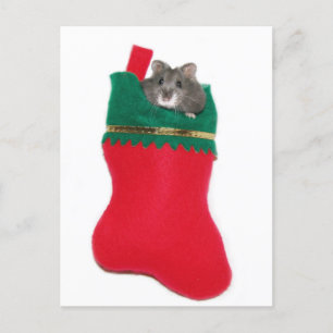 Cartes Pour Fêtes Annuelles Hamster Christmas stocking