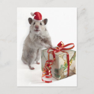 Cartes Pour Fêtes Annuelles Hamster du père noël avec le cadeau