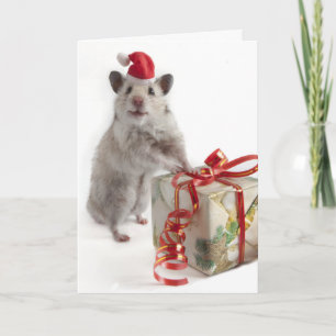 Cartes Pour Fêtes Annuelles Hamster du père noël avec le cadeau