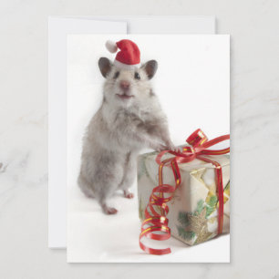 Cartes Pour Fêtes Annuelles Hamster du père noël avec le cadeau