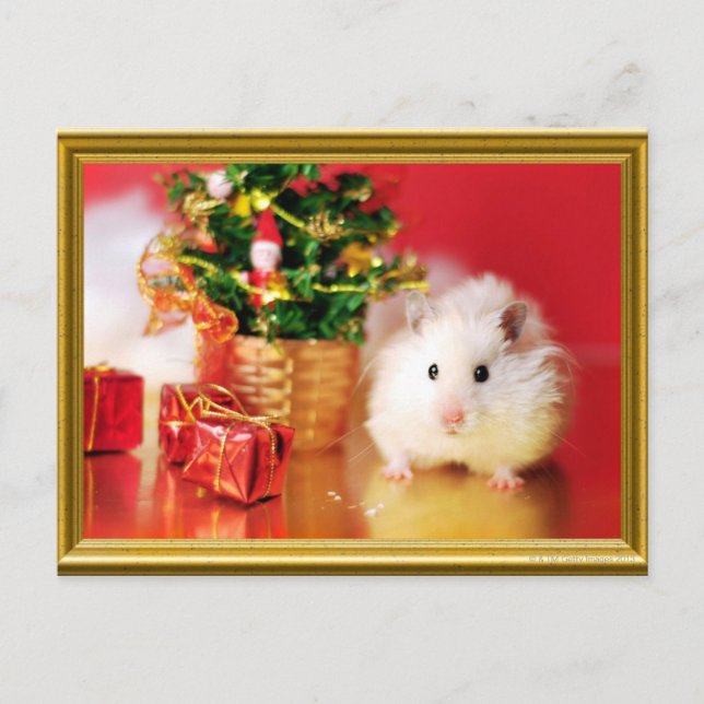 Cartes Pour Fêtes Annuelles Hamster Kokolinka avec arbre de Noël (Devant)