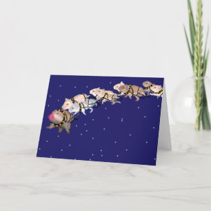 Cartes Pour Fêtes Annuelles Hamsters de vacances