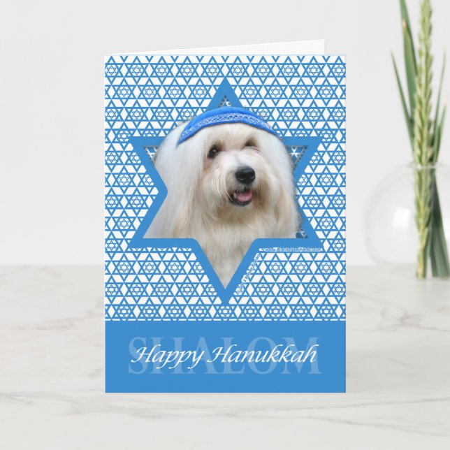 Cartes Pour Fêtes Annuelles Hanoukka Star de David - Coton de Tulear (Devant)