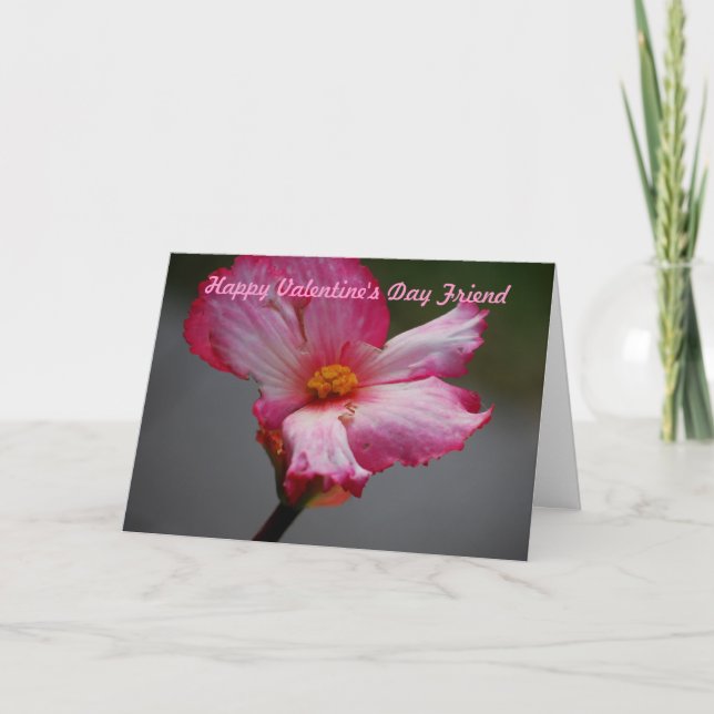 Cartes Pour Fêtes Annuelles Haoppy Valentine's Day Friend (Devant)