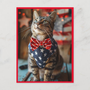 Cartes Pour Fêtes Annuelles Happy 4 juillet Chat